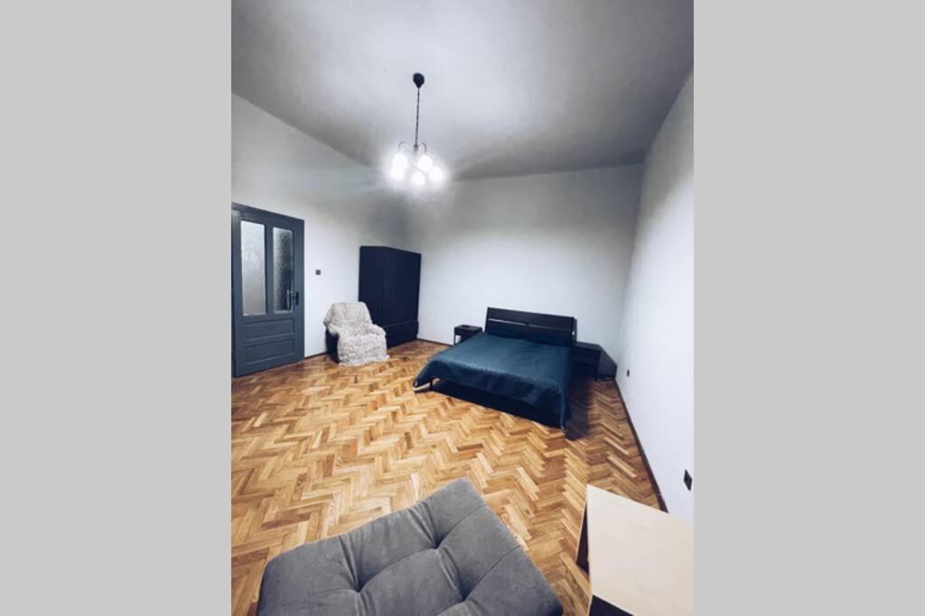 ☆Modern High Ceiling Apartment - Heart Of The City Орадеа Екстериор снимка